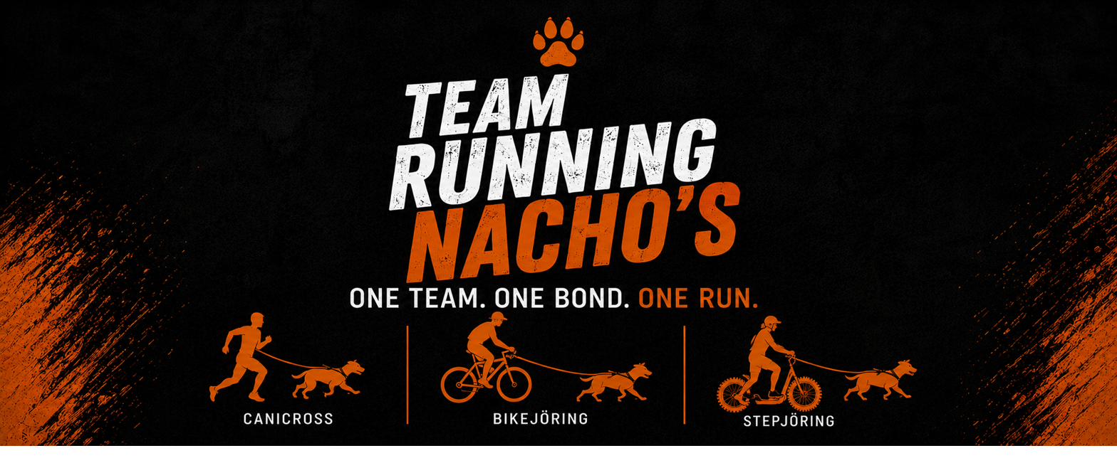 Running Nacho's — canicross, bikejöring en stepjöring illustratie